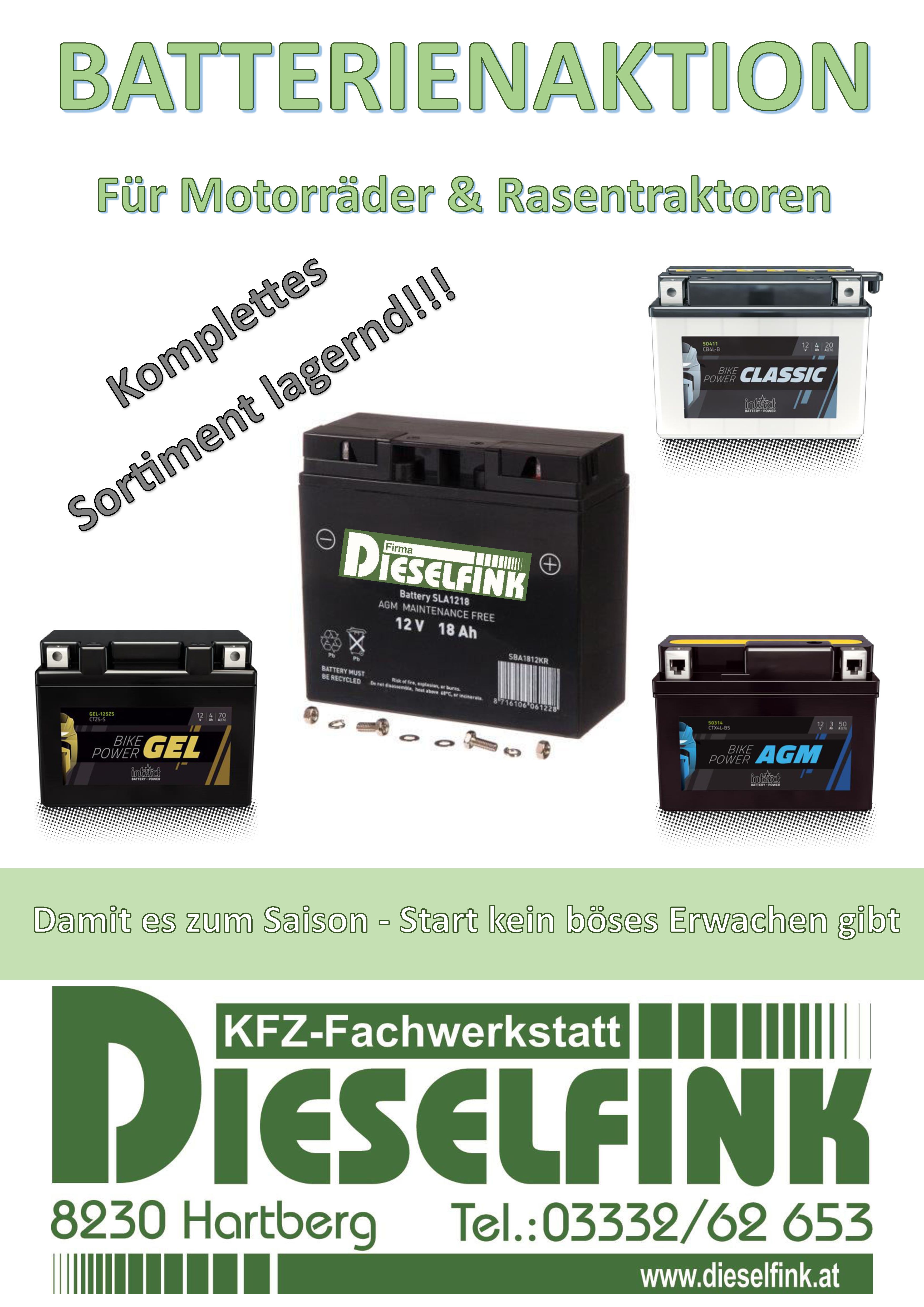 Rasenmäherbatterien und Motorradbatterien